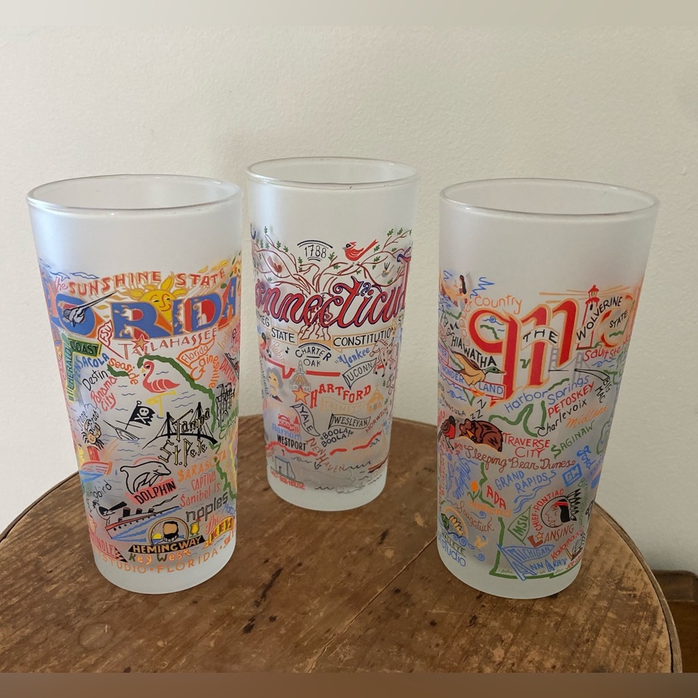 Cat Studio 15 oz colorful state-themed frosted glasses set of 3